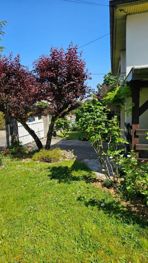 Villa La Moraine Thonon-les-Bains Exterior foto