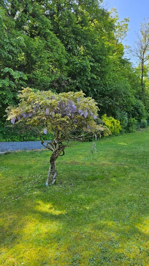 Villa La Moraine Thonon-les-Bains Exterior foto