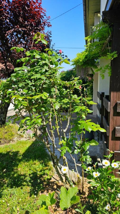 Villa La Moraine Thonon-les-Bains Exterior foto